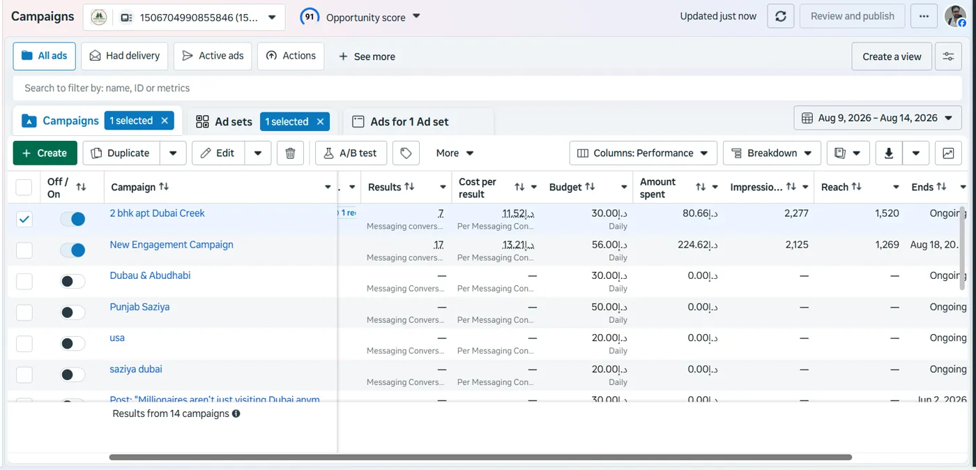Ads Manager · real estate campaigns